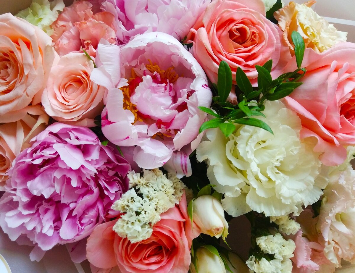 Подписывайтесь на канал и ставьте лайки, это поможет развитию канала. 