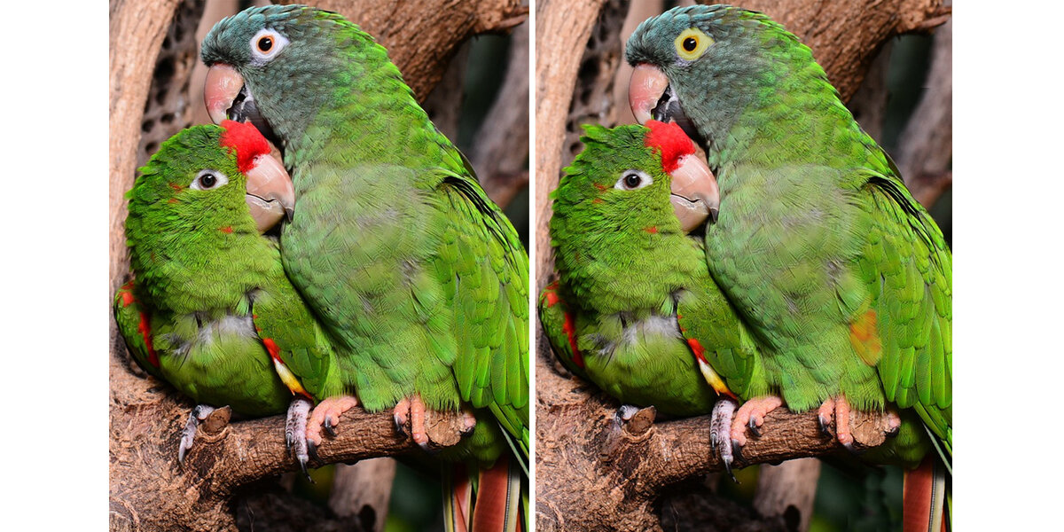 взято с интернета