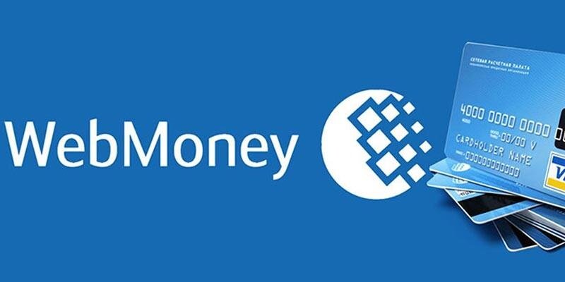 В тексте рассказывается об особенностях «Вебмани-Трансфер».
