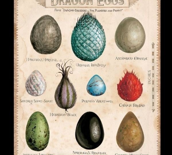 Драконы из мира Гарри Поттера