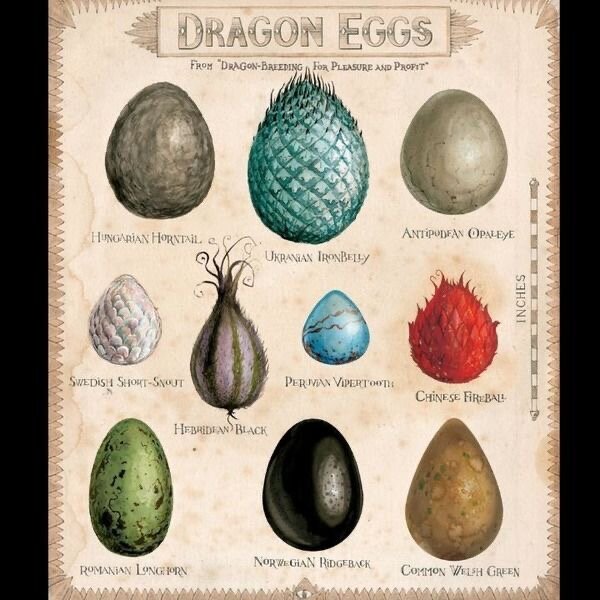 Яйца драконов