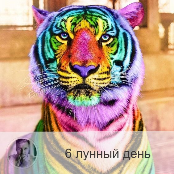 Подписывайтесь и ставьте 👍
6-ой лунный день с 13:26 21-ого по 14:27 22-ого. 🔆 Мелодичные звуки притягивают удачу.
☁️ Символы дня – облака, журавль.
🎂 Люди, рождённые в этот лунный день, имеют богатый внутренний мир, фантазию и мечты, любят свободу. Они являются проводниками космической энергии. После своей долгой и плодотворной жизни оставляют заметный след.
💍 Камень – цитрин.
🌞 6-ые лунные сутки, связанные с праотцом Авраамом, их символы — радуга, журавль и вещая птица Ивик. Это день радости, который лучше провести в покое и гармонии в кругу семьи. Также благоприятна научно-исследовательская работа, изучение нового, все виды совместной деятельности. Сегодня ни в коем случае нельзя жаловаться на жизнь, обстоятельства, роптать на своё здоровье, финансовое положение или близких, совсем не время и для самокопания! В течение этих лунных суток особенно обостряется интуиция, возможны озарения, находятся давно потерянные вещи.
✅ Рекомендуемые практики: наслаждайтесь ароматами и звоните в колокольчики.
В это время рекомендуется проводить ментальное очищение, медитировать и заниматься дыхательными практиками. Благоприятно разжигать благовония и заниматься звукотерапией. Сегодня это лучше всего очистит менталитет и наполнит энергией.
💊 Обратите внимание на лёгкие, бронхи. Полезно дыхательная гимнастика, профилактика заболеваний, процедуры по омоложению, посещение косметолога. Полезно принять ванну с хвойными маслами для профилактики заболеваний дыхательных путей.
⚠️ Знак:
Если вы услышали колокольный звон или у вас зазвенело в ушах, то это означает, что вы справляетесь с идущими потоками энергии.
💤 Если вам приснился кто-то из знакомых, значит вы ему что-то должны, эмоционально или материально. Это намек на то, что ситуацию нужно закрыть.

—————
📱Три простых шага к получению моей консультации:
1. Выбрать заинтересовавшую услугу,
2. Согласовать день и подтвердиться оплатой,
3. Прислать необходимые данные для анализа.
✓ Олег Персидский ⇨ numeromagic.ru/uslugi