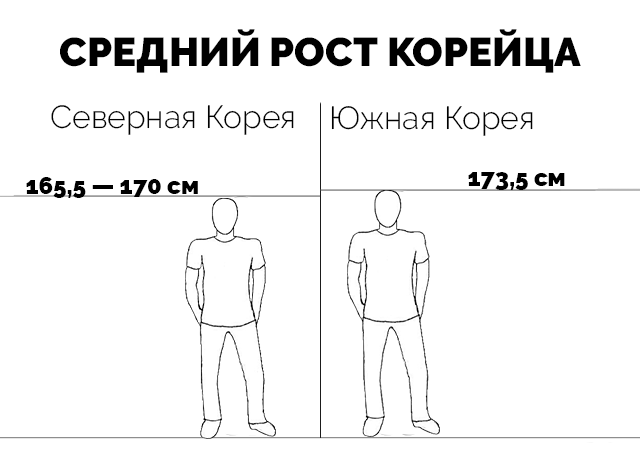 Средний рост мужчин в южной корее