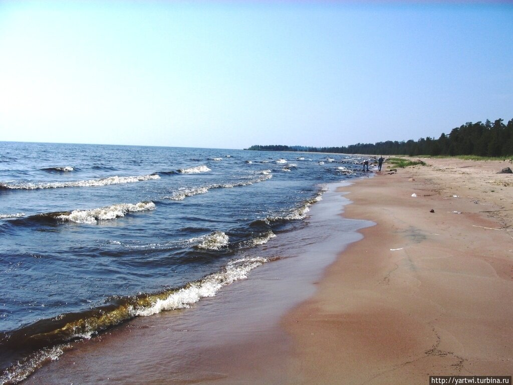 Видлицы Ладожское озеро