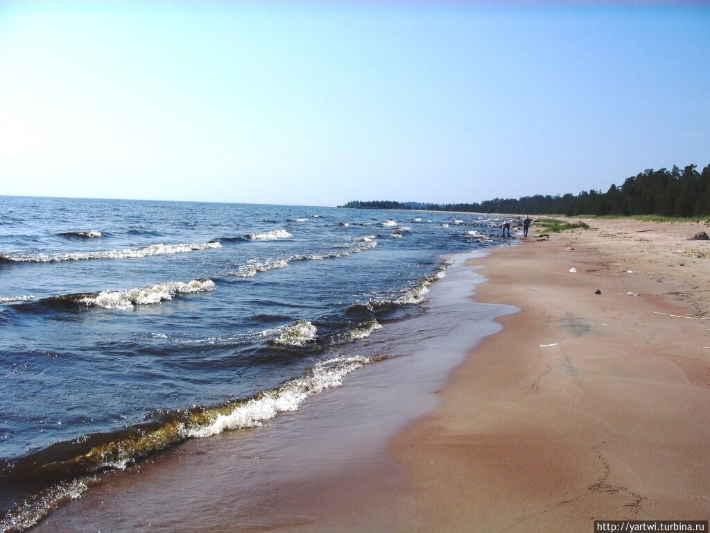 Село Видлица на Ладожском озере