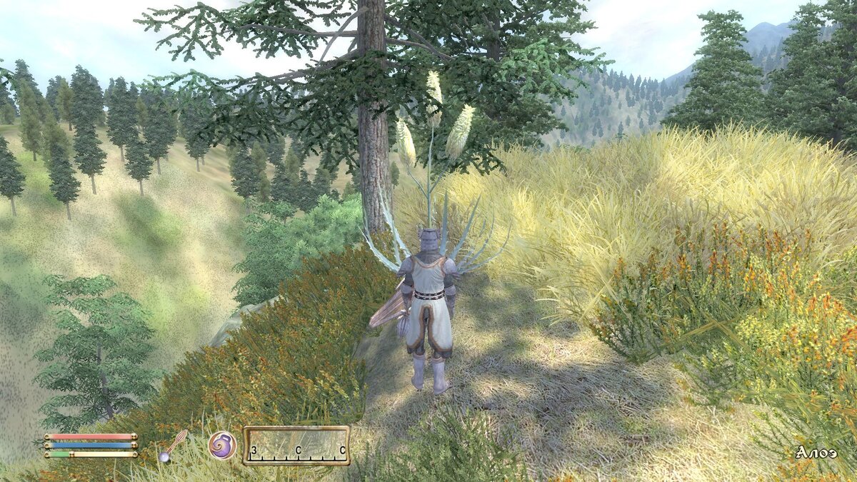 Гигантский алоэ  Oblivion