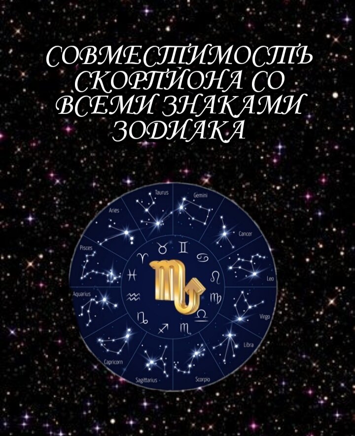 Фото взято из открытого источника.