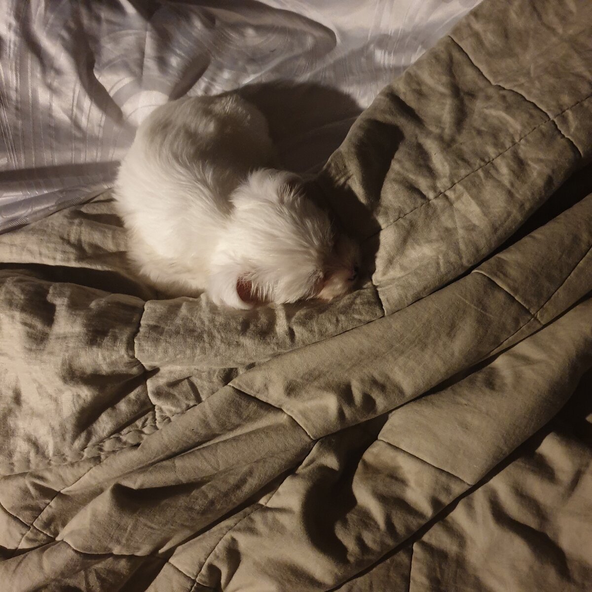 любовь была с первого взгляда!