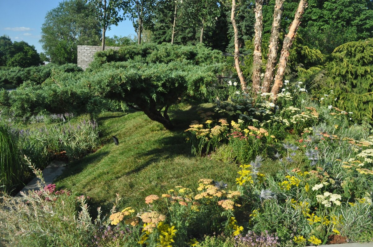 Даже в конкурсных проектах ландшафтных дизайнеров газон играет далеко не последнюю роль. Проект Оксаны Хлебородовой.