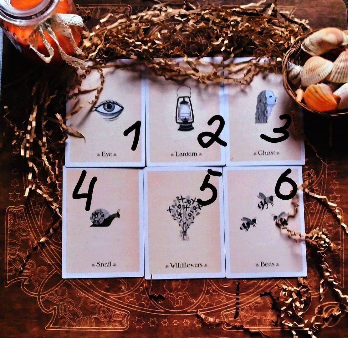 Ну вот и ответ на вопрос о тех желаниях, которых вы боитесь. 
📌Так как колода все таки оракульного типа, во многом ответ на этот вопрос придётся сформулировать вам самим. Я могу только вам в этом помочь, немного рассказав о символах и их значениях, которые вкладывала автор

🔴1.Глаз. Ищу ответы, ясно вижу, уделяю внимание.
То есть вы хотите, но боитесь что то увидеть и рассмотреть.

🔴2. Фонарь, лампа.
По мнению автора это символ доверия.

🔴3. Призрак, привидение.
Воспоминание, то, что преследует, неоконченное дело

🔴4. Улитка
Хрупкость, страх.

🔴5. Полевые цветы.
Символ обновления, романтики, пробуждения, простоты.

🔴6. Пчелы.
Трудолюбие, командная работа.

‼ВАЖНО. Наиболее точную формулировку своих желаний на основе этих символов можете дать только вы сами! Именно ваши ассоциации дадут вам такую возможность. Посмотрите внимательно на изображение и подумайте, проанализируйте о чем это именно для Вас?