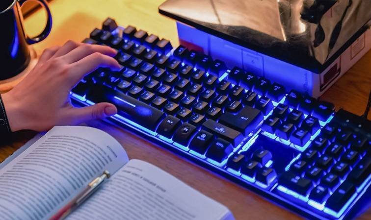 Дистанционное обучение. Фото: mos.ru