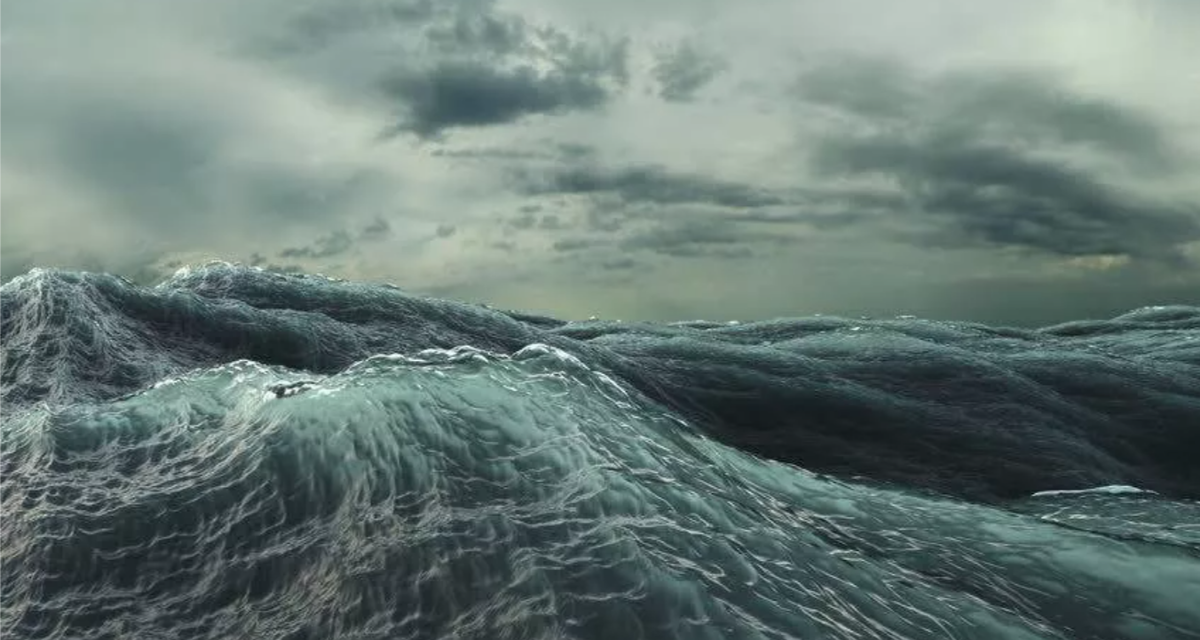 Фото взято из открытых источников