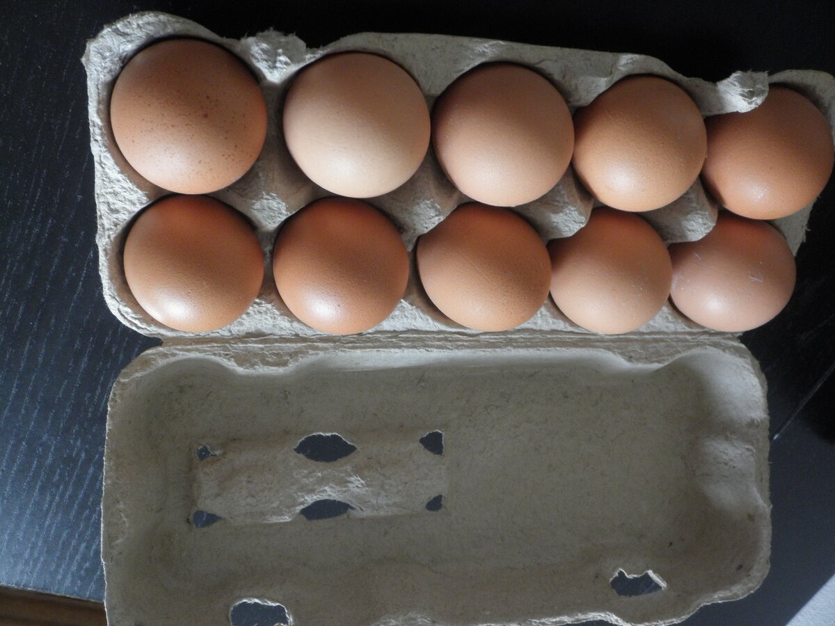 Свежие куриные яйца. Фото автора
