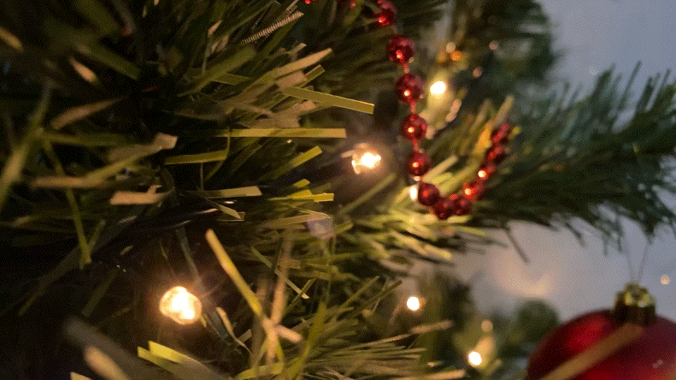 Сегодня ещё 22 ноября, а мы уже нарядили один из главных символов года - Ёлку🎄.