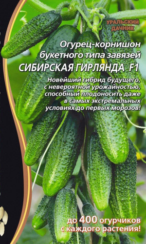 Семена Сибирской гирлянды 