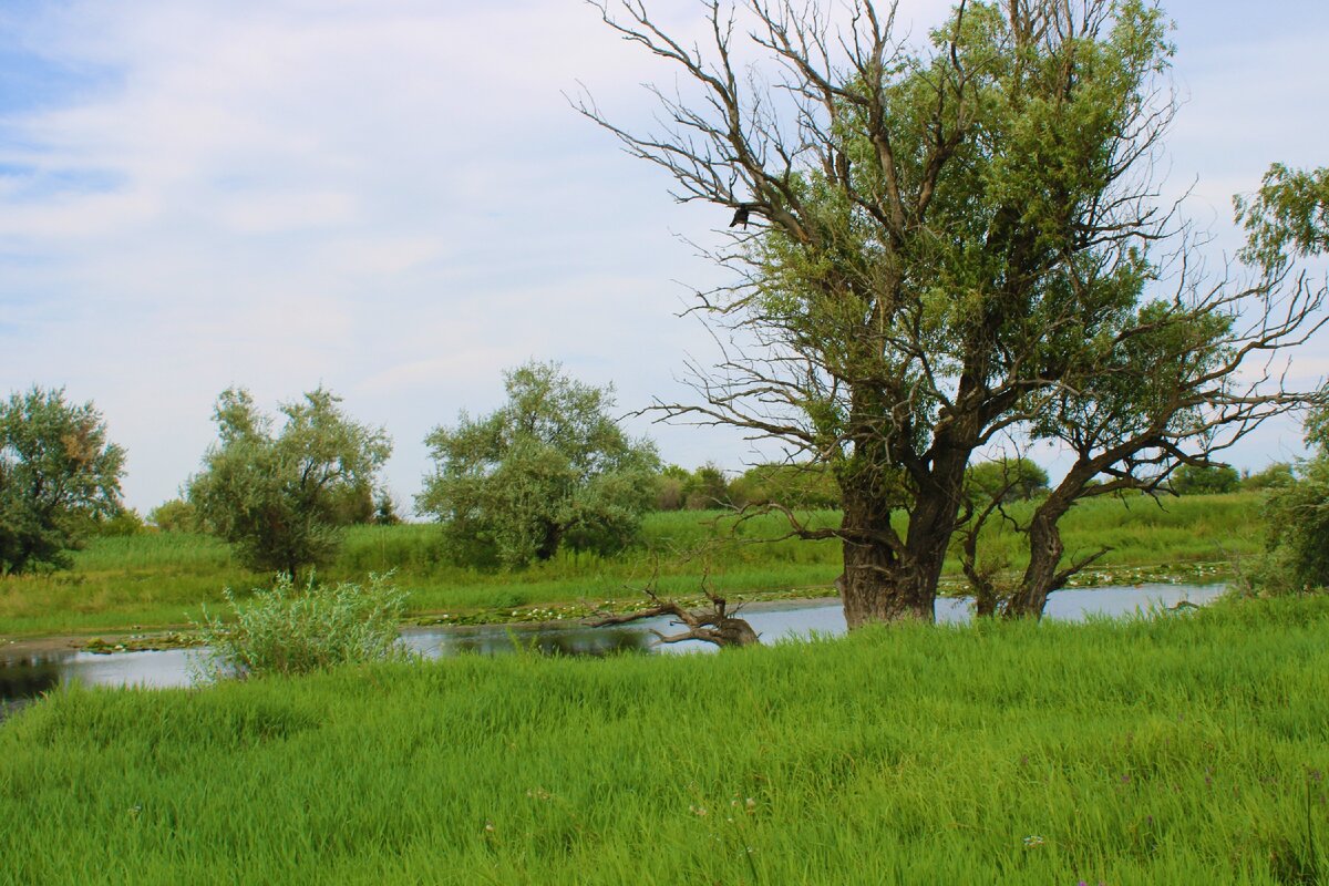 Остров обливной астрахань. Лаганский судоходный канал. Рп5 остров искусственный. Астраханская область село маково рыболовная база блесна. Экологическая реабилитация ериков поймы.