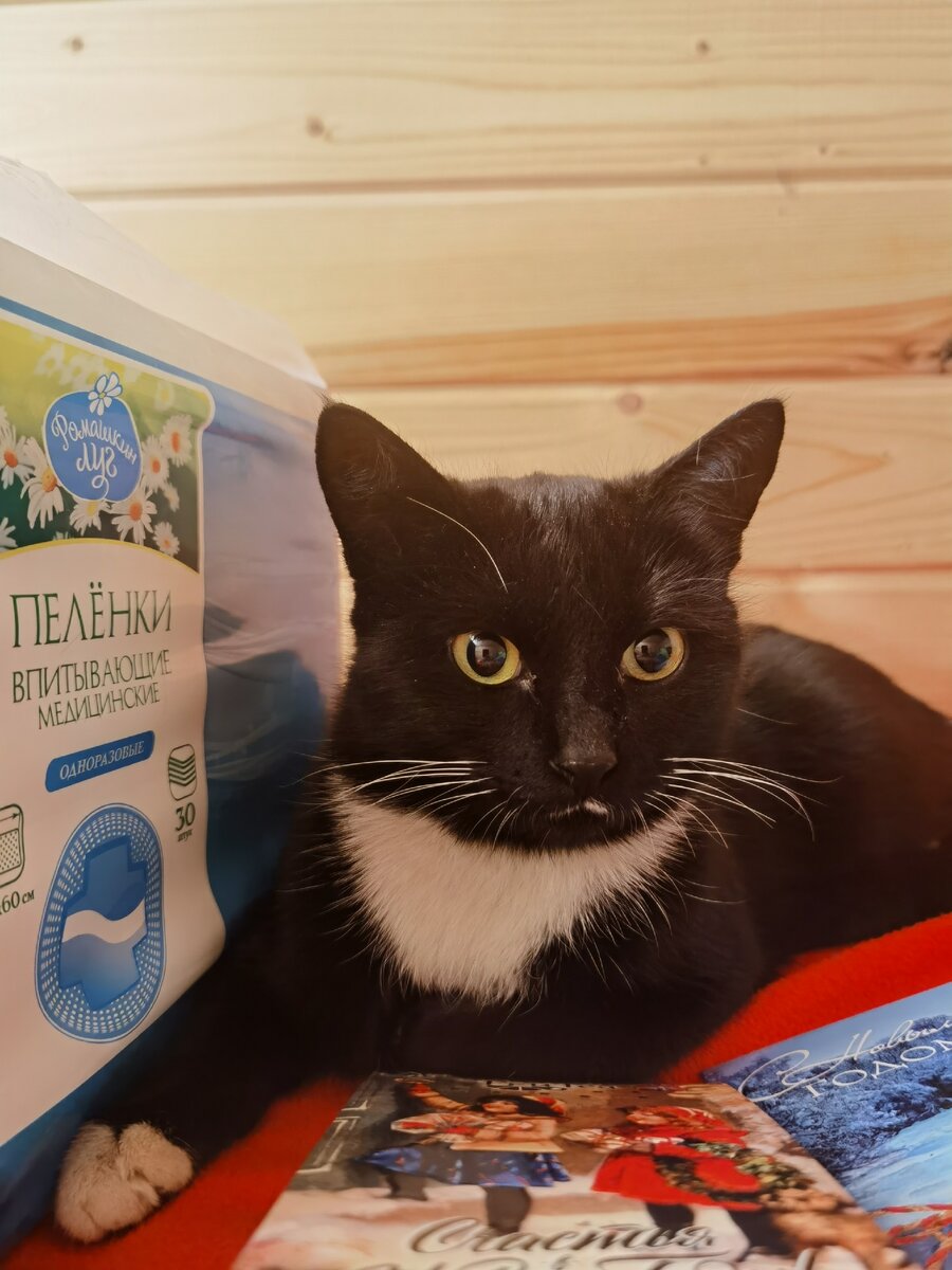 Новенькая Леночка