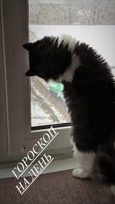 Гороскоп на день.