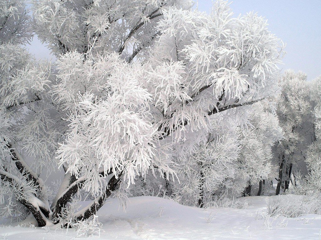 Снежный ангел.