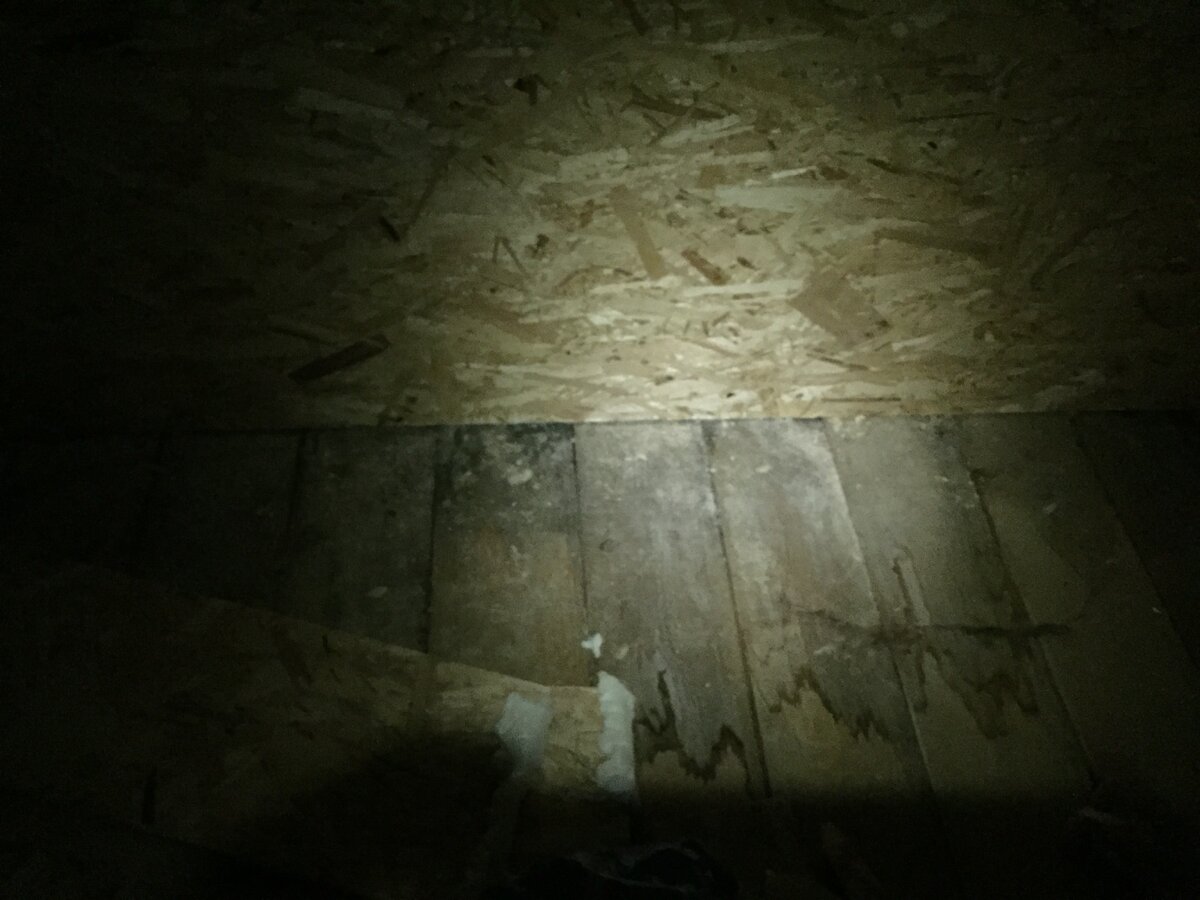 Вот один из примеров протека