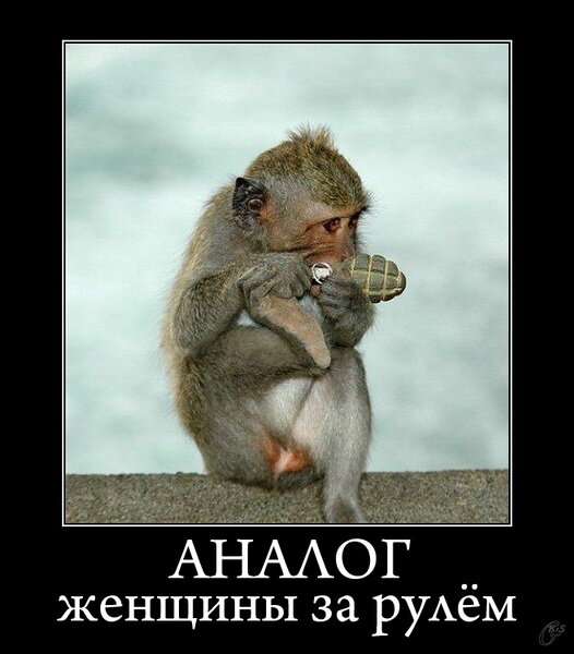 фото из интернета