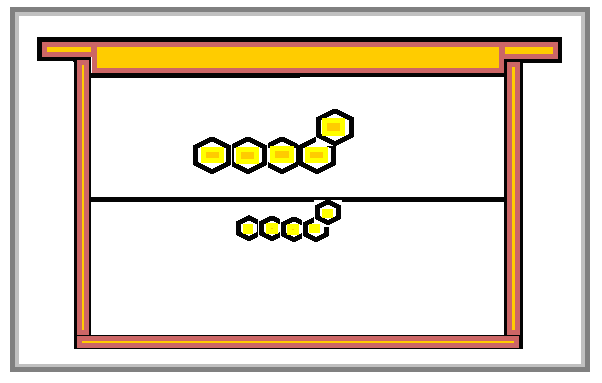 Рамка с трутневыми и пчелиными ячейками.