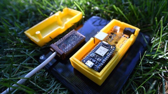 BuzzBox: датчик поведения пчел. Фото из открытых источников