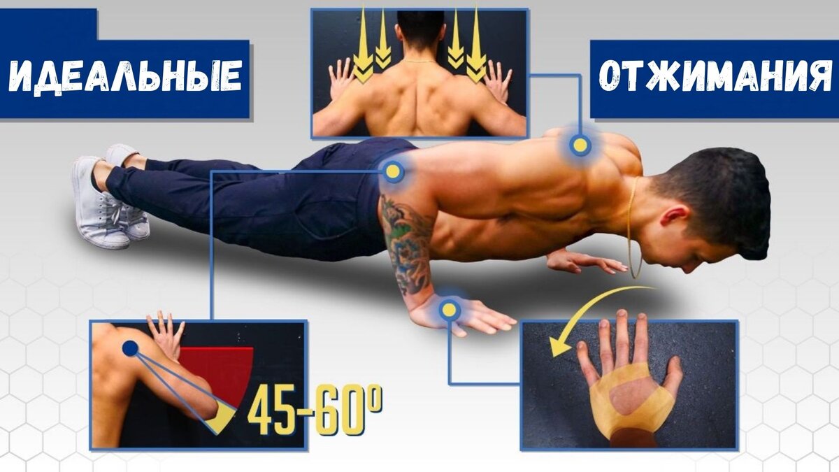 Идеальная техника отжимания для развития мышечной массы и предотвращения  травм. | Томаш Игорь | Pro Training | Дзен