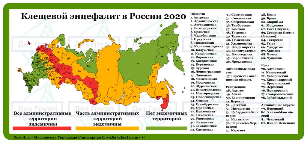 Регионы России, эндемичные по клещевому энцефалиту (данные за 2020 год).  Наиболее опасные регионы — республики Алтай, Удмуртия, Кемеровская, Томская, Тюменская, Челябинская, Саратовская, Кировская, Костромская, Вологодская, Ленинградская, Новосибирская, Псковская области, Пермский край, Приморский край, Еврейская автономная область. 