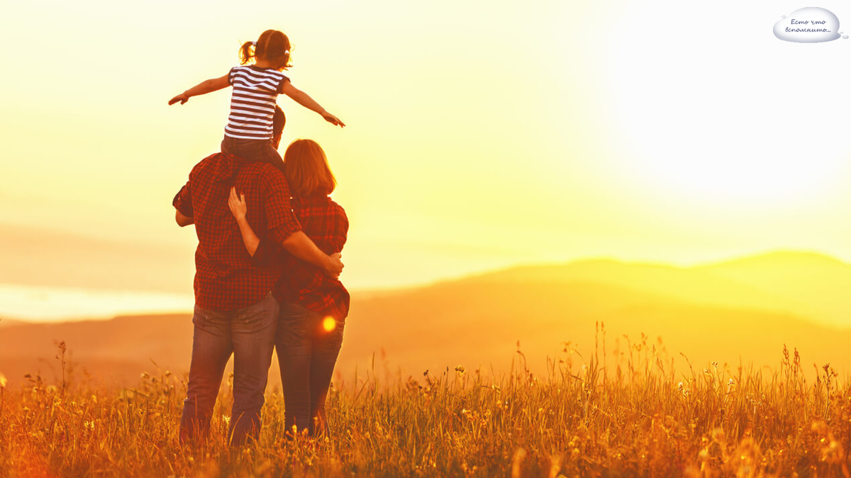 Фото из открытых источников интернета Яндекс.картинки