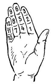 Нумерация фаланг