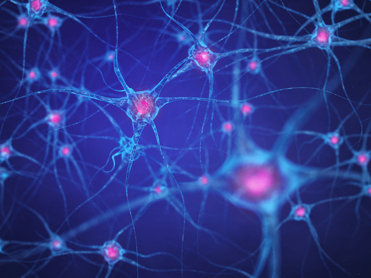 Нервная система человека Нейрон. Нейрон клетка головного мозга. Нейронные связи головного мозга. Нейронные клетки головного мозга.