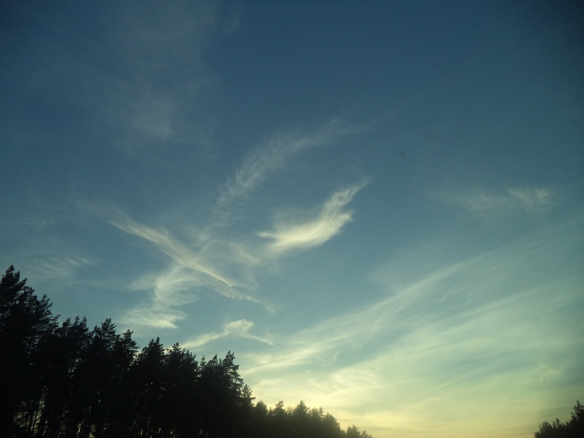 Облака разные, крылатые тоже есть (фото с телефона)