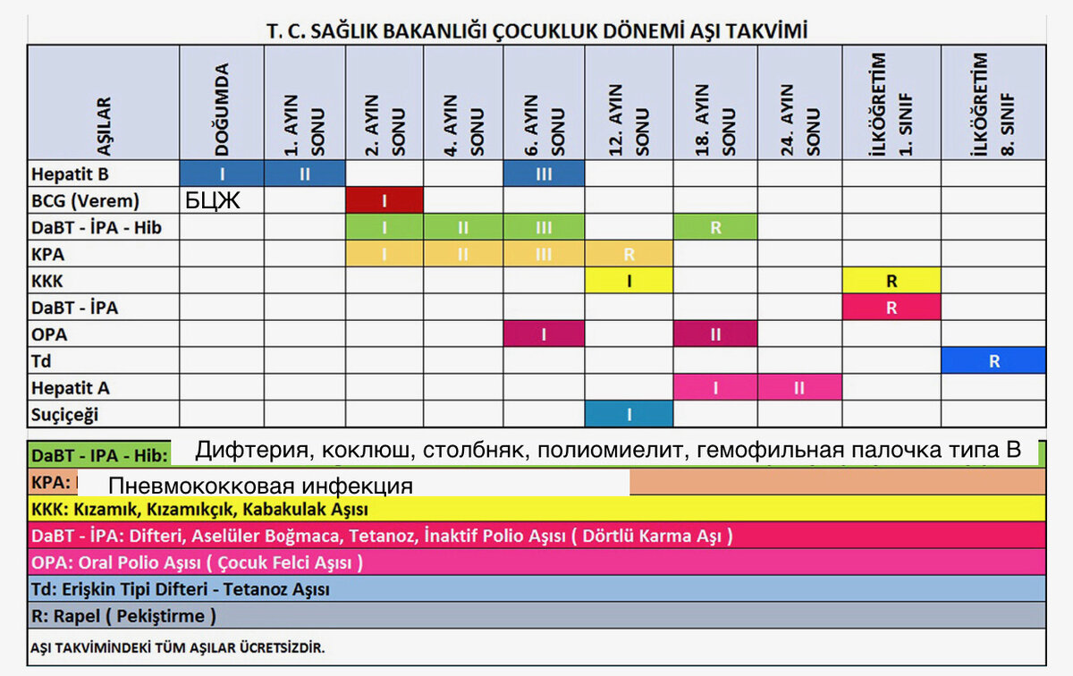 Календарь вакцинации ДЕТЕЙ в Турции | Dr. Mari Ger | Дзен