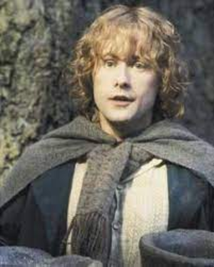 Перегрин «Пиппин» Тук