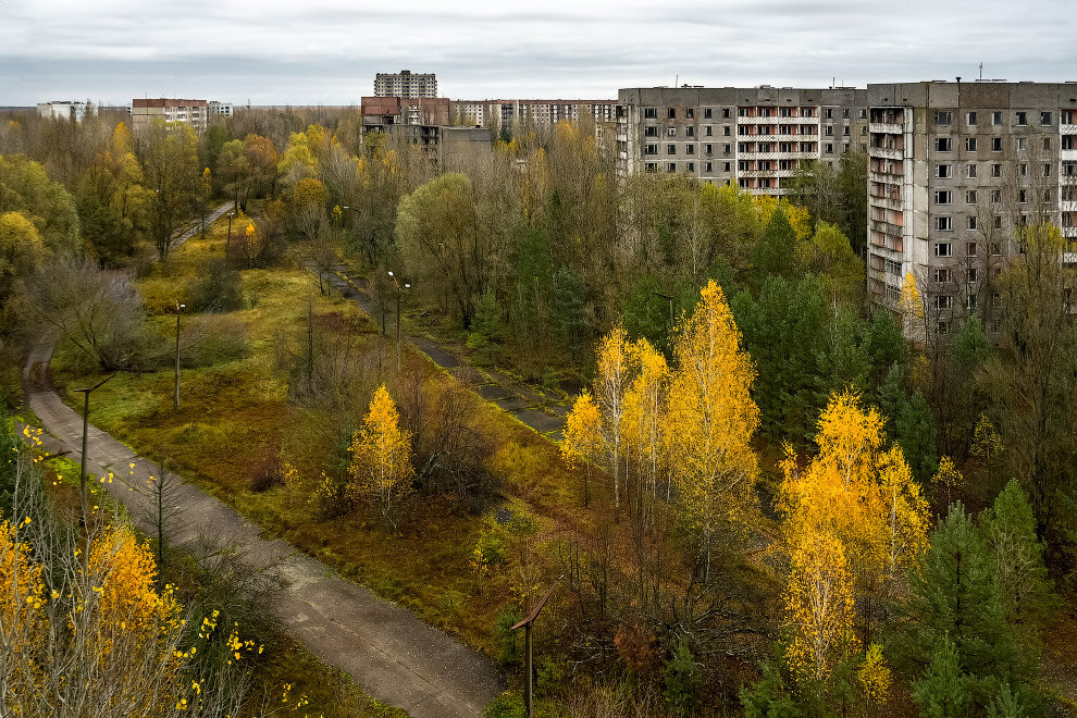 Пригород чернобыля. Чернобыль Припять. Город Припять. Ород Припять. Природа Припять Чернобыль.