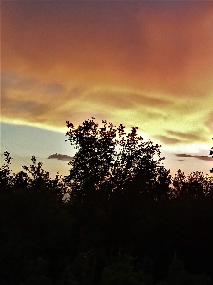                                                          Горестный рассвет ( снимок автора)