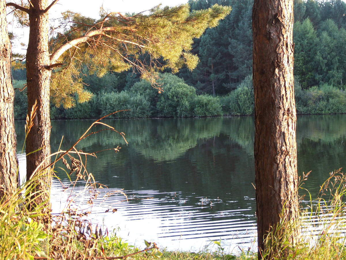 Фото: канал "Поэтика русской глубинки"