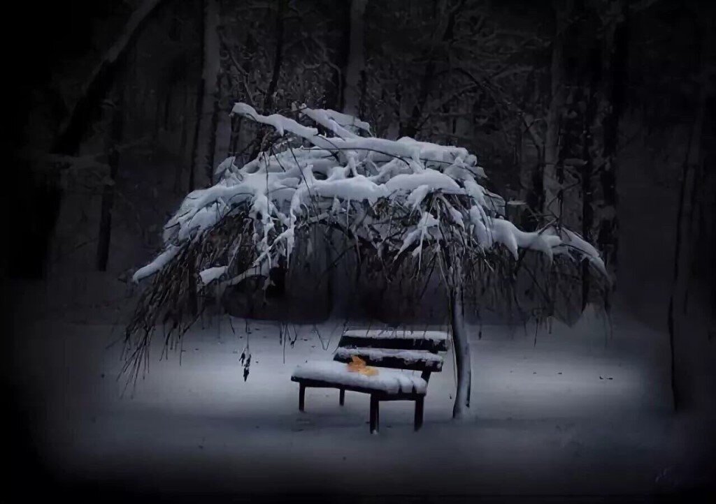 Яндекс.Картинки