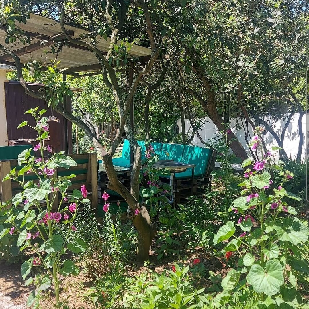 Беседка во дворе гостевого дома 