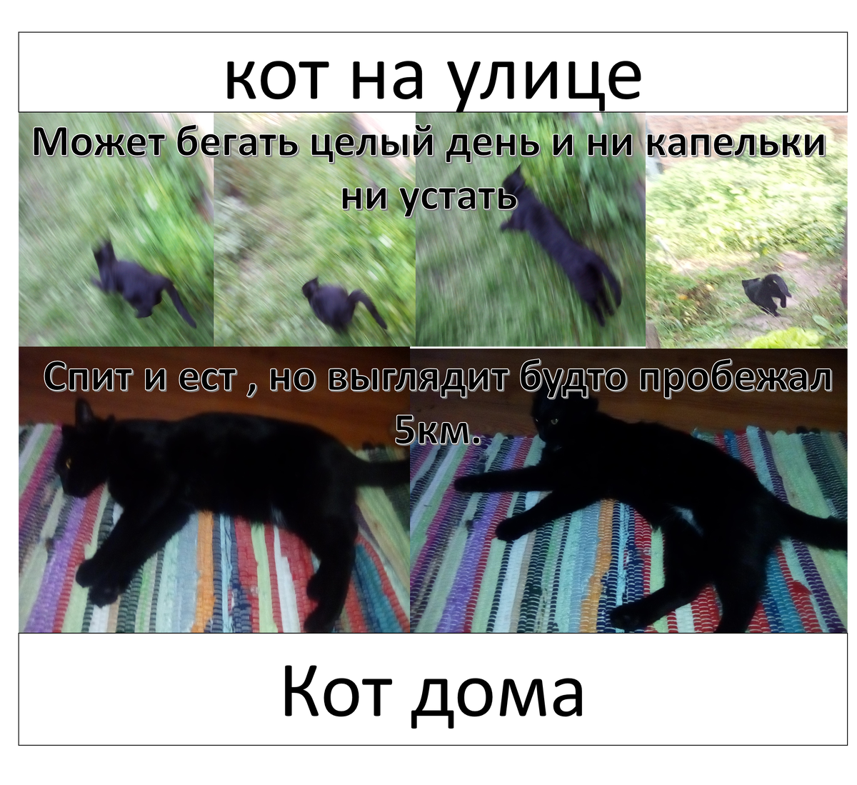 он  пробежал 5 км. во сне.