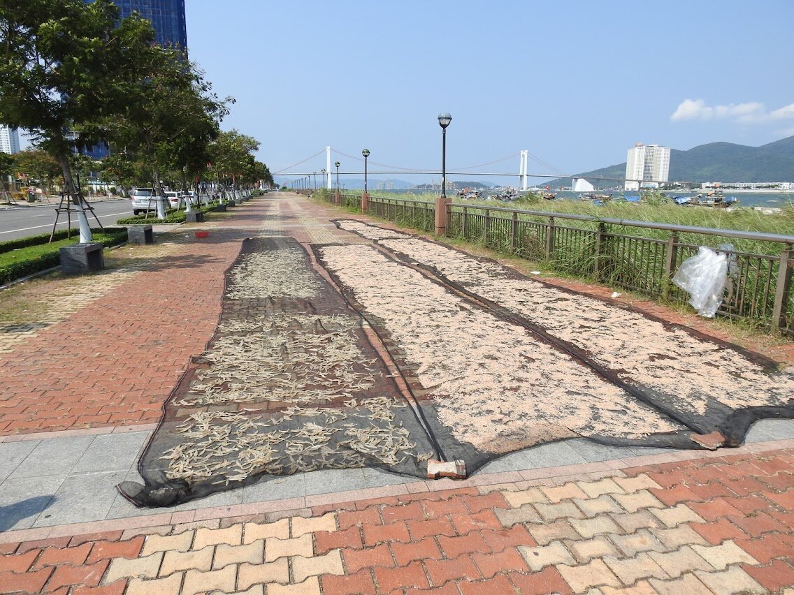 Сушат рыбеху