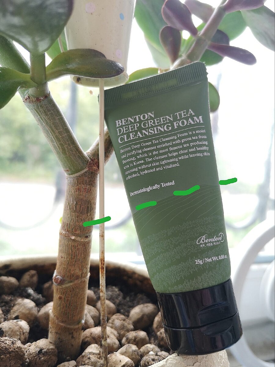 Очищающая пенка Deep Grean Tea Cleansing Foam 