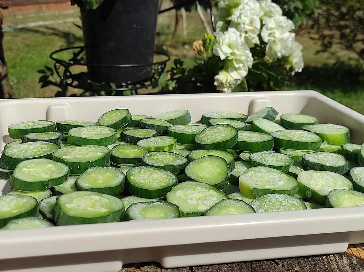 Заморозка огурцов кольцами