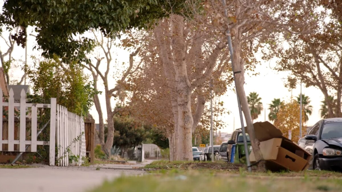 Подобных кусочков земли в Лос-Анджелесе немало, говорит Рон. Если их тоже засадить, город от этого только выиграет.