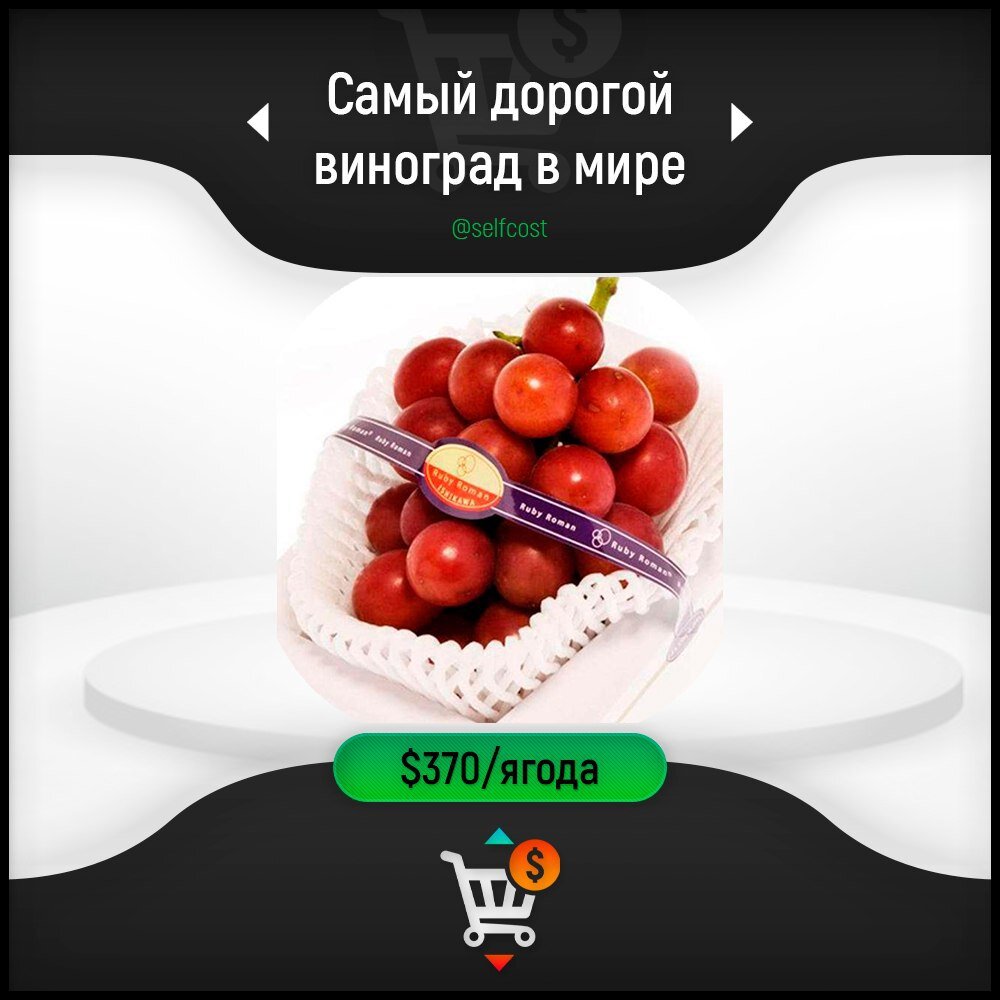 Фото продукта