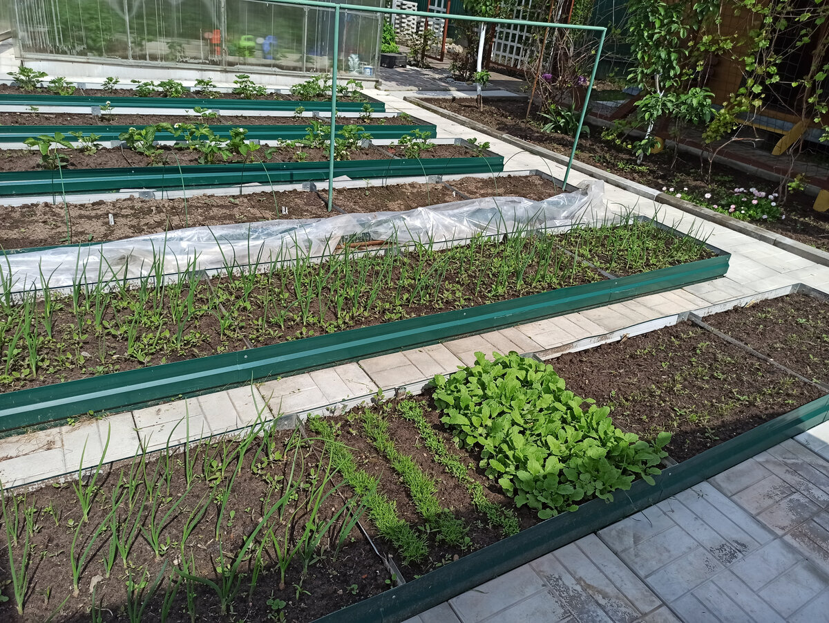 Фотография из личного архива