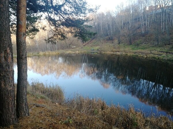 Ласточкины горы пенза