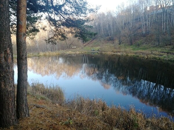 Ласточкины горы пенза фото