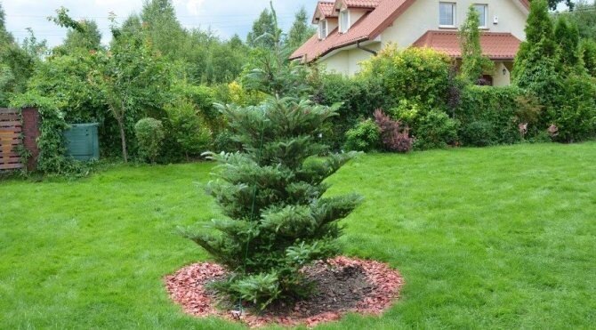 Изображение для иллюстрации, взято из открытых источников